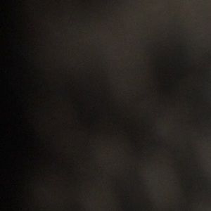 Meet your Posher, Leland